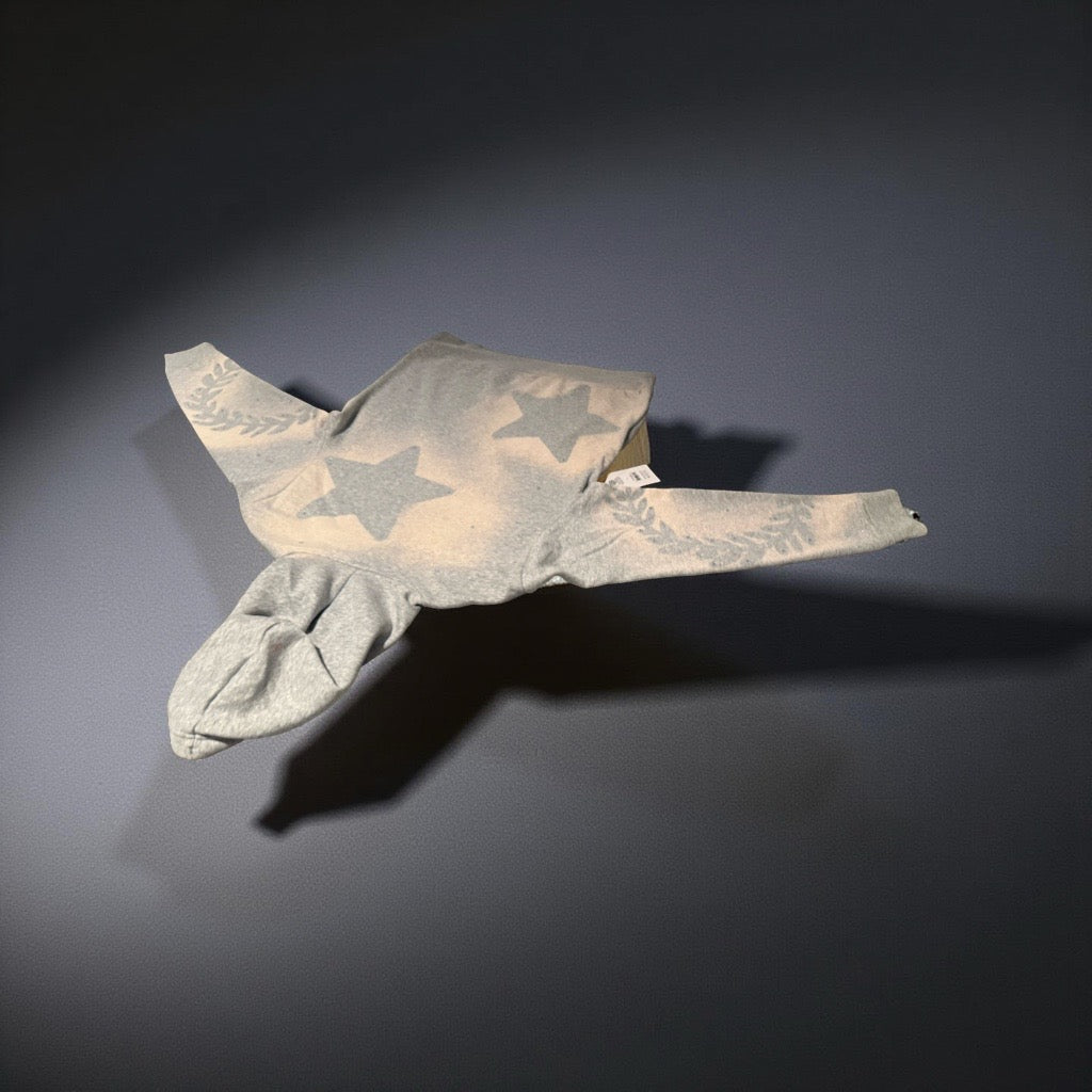 Gods Soldiers Winter Hoodie (Limited)